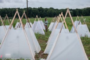 Elizeth at her field site running heat wave experiments on plant communities. Photo credit: Kurt Stepnitz Photography
