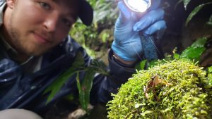 Kyle with Coyne’s Harlequin Frog (Atelopus coynei) near a stream in Ecuador in 2019. This frog was “missing” from 1984-2012. Photo Credit: Alex Achig-Vega