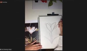Screenshot of nature journaling webinar, showing a hand holding a pencil, sketching.