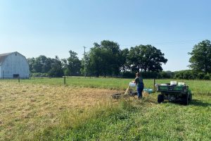 Intern Kylee Kunse pours feed into a trough at Kellogg Farm.