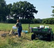 Intern Kylee Kunse pours feed into a trough at Kellogg Farm.