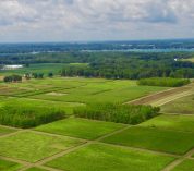 Aerial view of rows of square agricultural research plots at the W.K. Kellogg Biological Station.