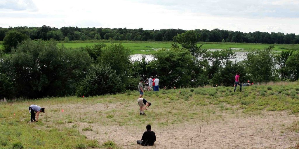 Members of the Janzen Lab work on a grassy hilltop with trees and water in the background.