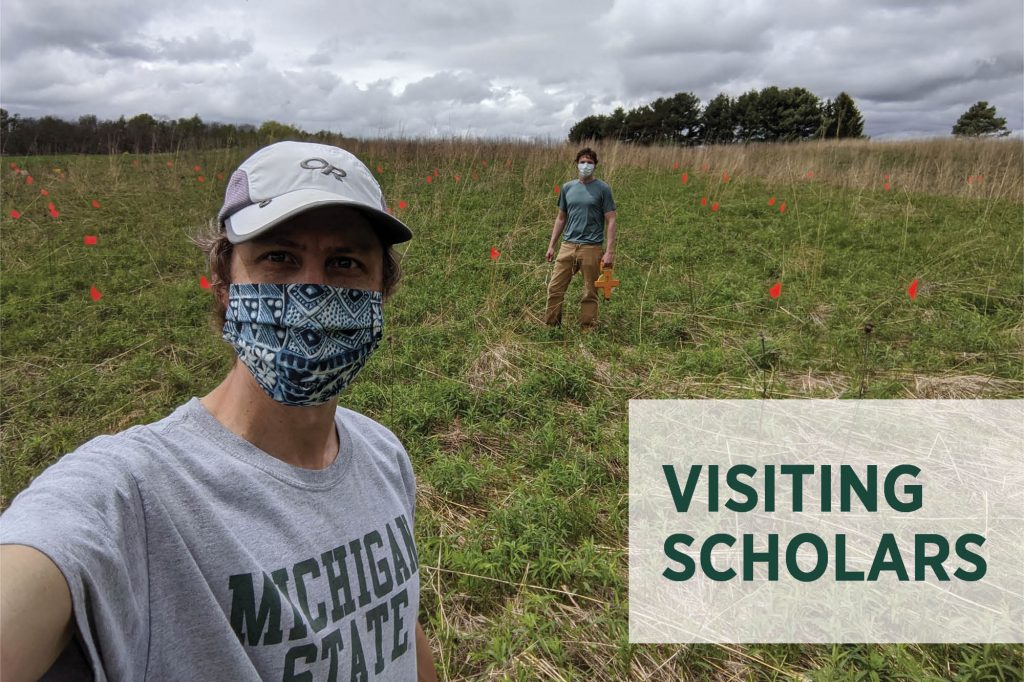 Two researchers stand in the field; one in the foreground wearing an MSU T-shirt and mask, and the other in the background, also wearing a mask.