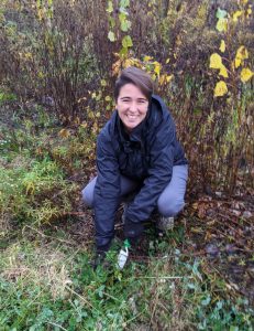 Isabela Borges crouches in a field at the KBS Long-term Ecological Research site, using a trowel to dig up plants.