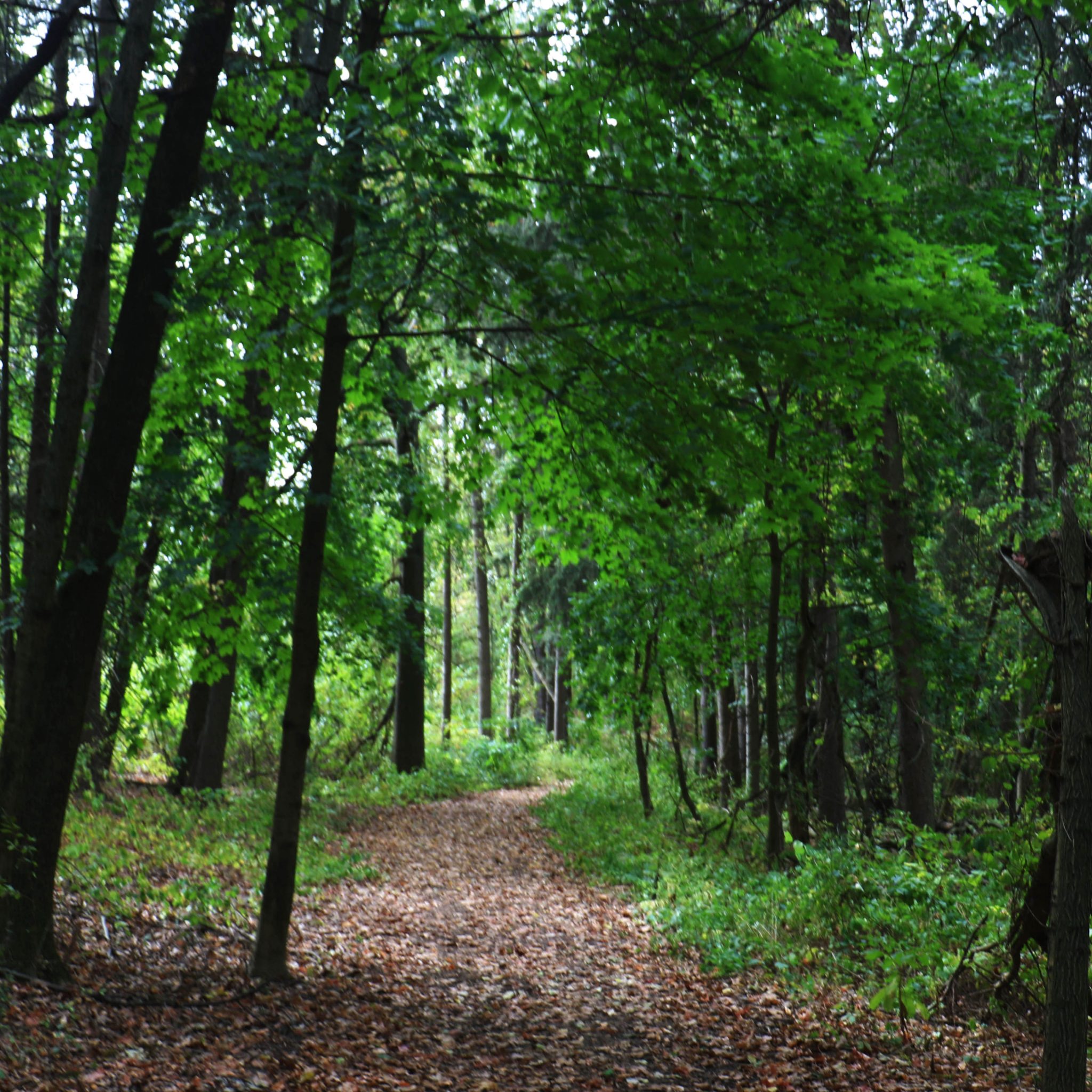 W.K. Kellogg Biological Station • Michigan State University