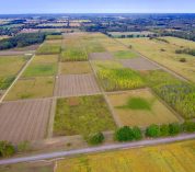 Aerial view of rows of square research plots at the KBS Long-term Ecological Research program site.