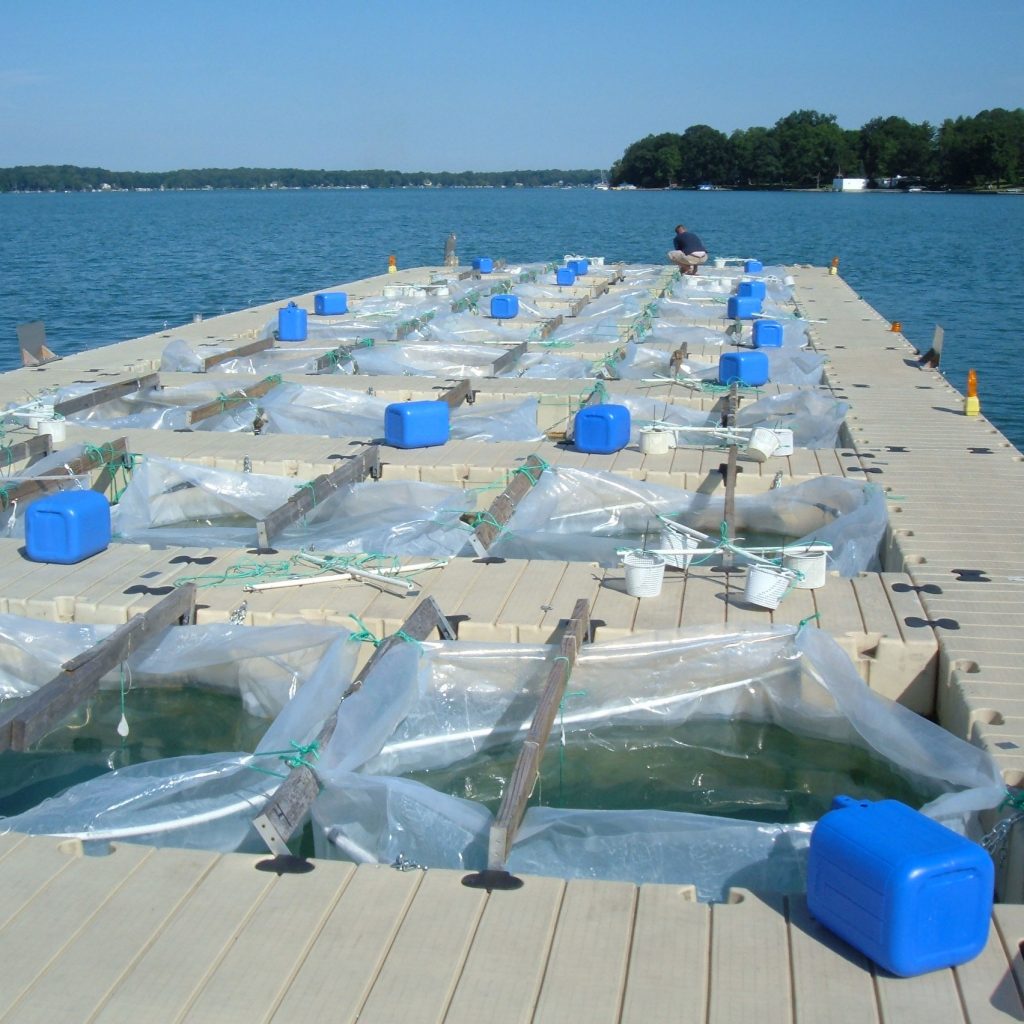A dock with a series of square openings juts into Gull Lake, with each opening containing a plastic reservoir used for collecting water samples. Credit to Orlando Sarnelle.