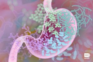 Graphic in pink, green and blue hues, depicting the microbial community in a human gut. Credit to Darryl Leja.