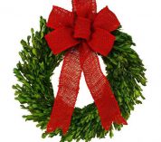 A wreath made of boxwood boughs and adorned with a red ribbon sits against a white background.
