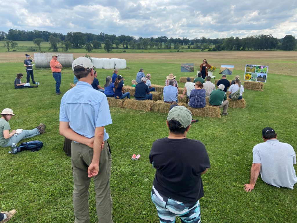 People stand in a mowed field or sit on hay bales while Corinn Rutkoski, graduate student at KBS, leads a discussion around prairie strips at the first MiSTRIPS event, held at Hasenick Brothers Farm.