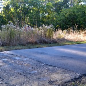 Close-up view of part of the Paved Path, showing a damaged section of the path next to a newly paved section.