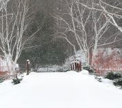 A wintry, snowy view of the Sanctuary's foot bridge lined by birch trees.