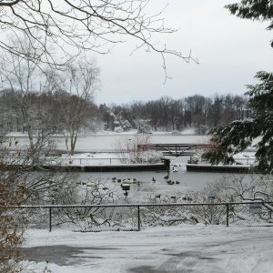Snowy view of the Sanctuary's foot bridge and Wintergreen Lake, with waterfowl in the foreground.