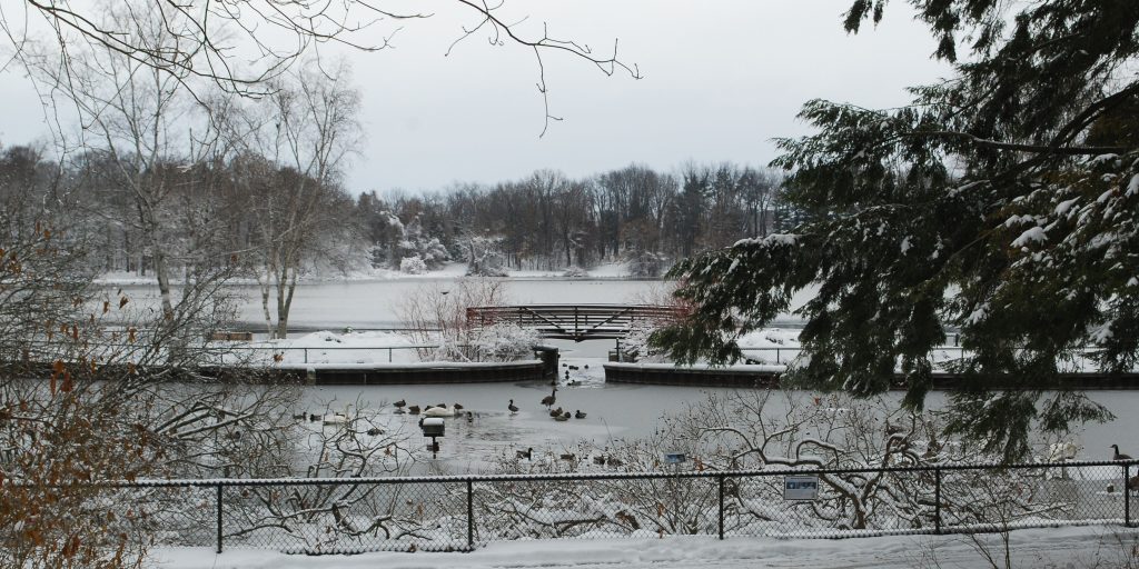 Snowy view of the Sanctuary's foot bridge and Wintergreen Lake, with waterfowl in the foreground.