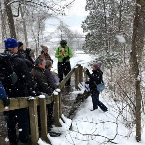 Danielle Zoellner speaks to a group of people on the staircase at the Kellogg Bird Sanctuary with Wintergreen Lake in the background, on a snowy day.