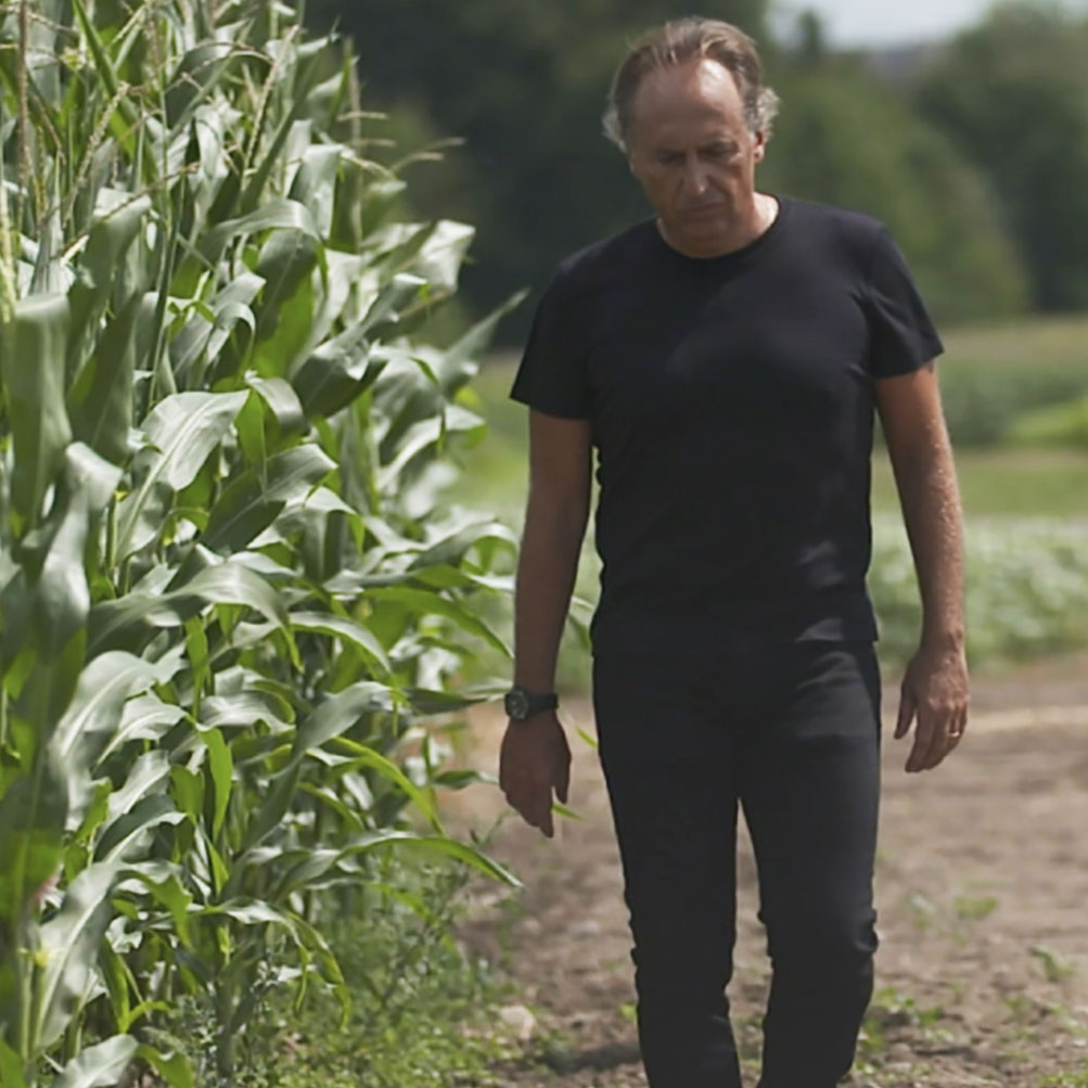 Bruno Basso walks alongside the edge of a corn field.