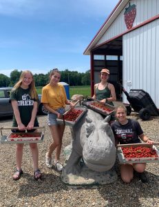 Four students hold flats of u-pick strawberries in front of a local farm.