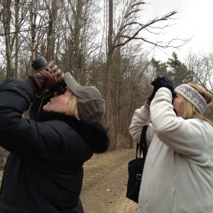 Two birders peer upward through binoculars at the W.K. Kellogg Bird Sanctuary.