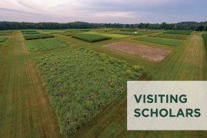 Square research plots planed with various crops, with text overlay that reads Visiting Scholars.