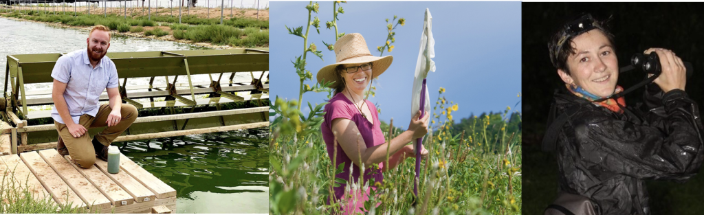 Jake Nalley pictured by algal pond, Rebecca Tonietto in a field of yellow flowers holding a bug net and Sarah Fitzpatrick holding binoculars