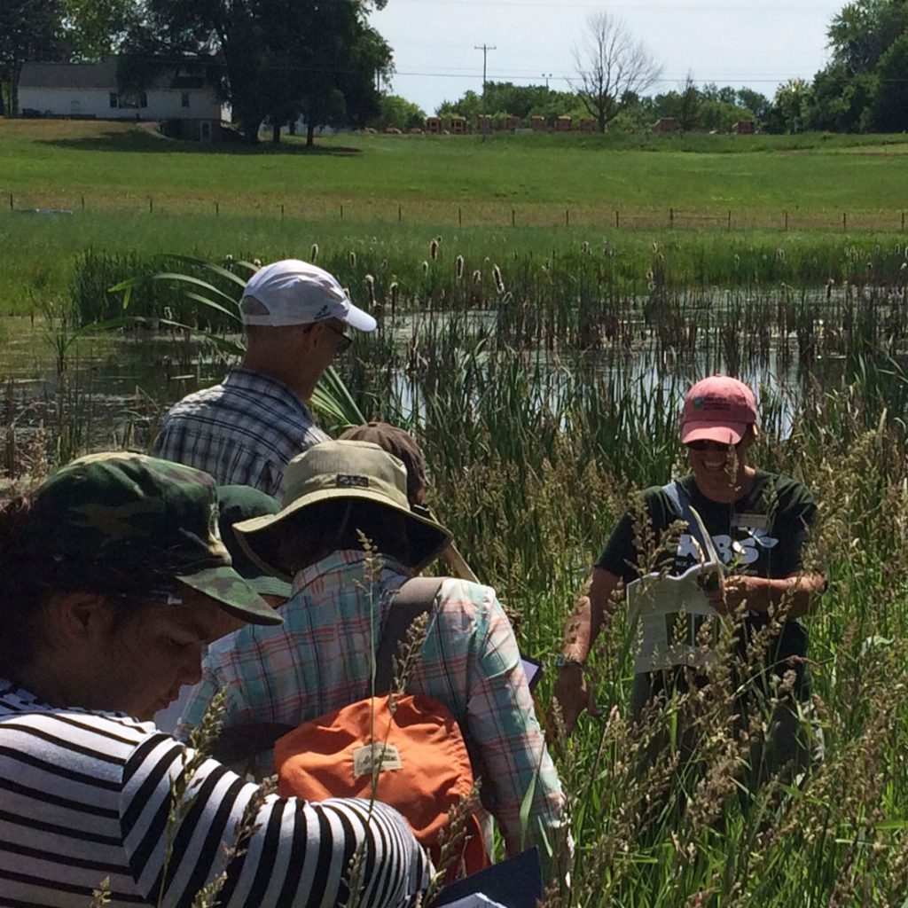 Danielle Zoellner laughs while showing a small group of people plants in a wetland area.