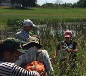 Danielle Zoellner laughs while showing a small group of people plants in a wetland area.