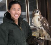 Stephanie Kong stands holding one of the Sanctuary's resident Red-tailed hawks perched on her arm.