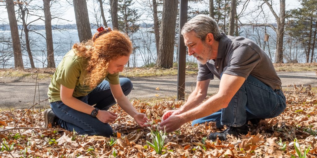 Jeffrey K. Conner and graduate student Robin Waterman crouch to examine a plant growing in a wooded area near the shore of Gull Lake.