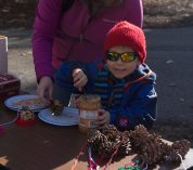 A small child scoops peanut butter in a bird feeder-making activity at Wild Wednesdays.