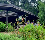 Columbine and lupine bloom in the pollinator garden at the W.K. Kellogg Bird Sanctuary.