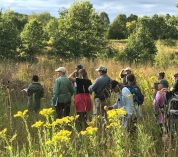 Participants in a past Field Botany course stand in a prairie with yellow flowers in the foreground.