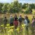 Participants in a past Field Botany course stand in a prairie with yellow flowers in the foreground.