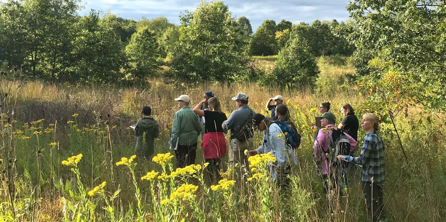 Participants in a past Field Botany course stand in a prairie with yellow flowers in the foreground.