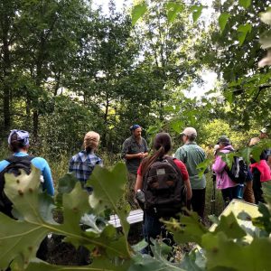 Participants in a past Field Botany course stand under an oak tree, listening to presenter Tyler Bassett speak.