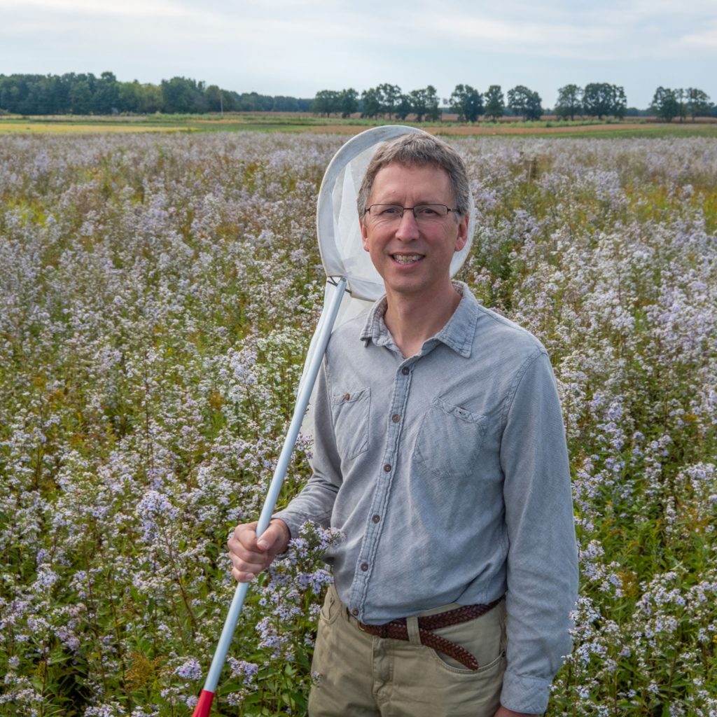 MSU Professor Nick Haddad stands with an insect net in an area of flowering prairie plants.