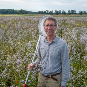 MSU Professor Nick Haddad stands with an insect net in an area of flowering prairie plants.