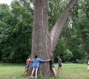 KBS summer students link hands around a large tree.