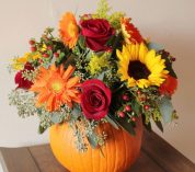 Floral arrangement of red, orange and yellow flowers using a small pumpkin as a vase.