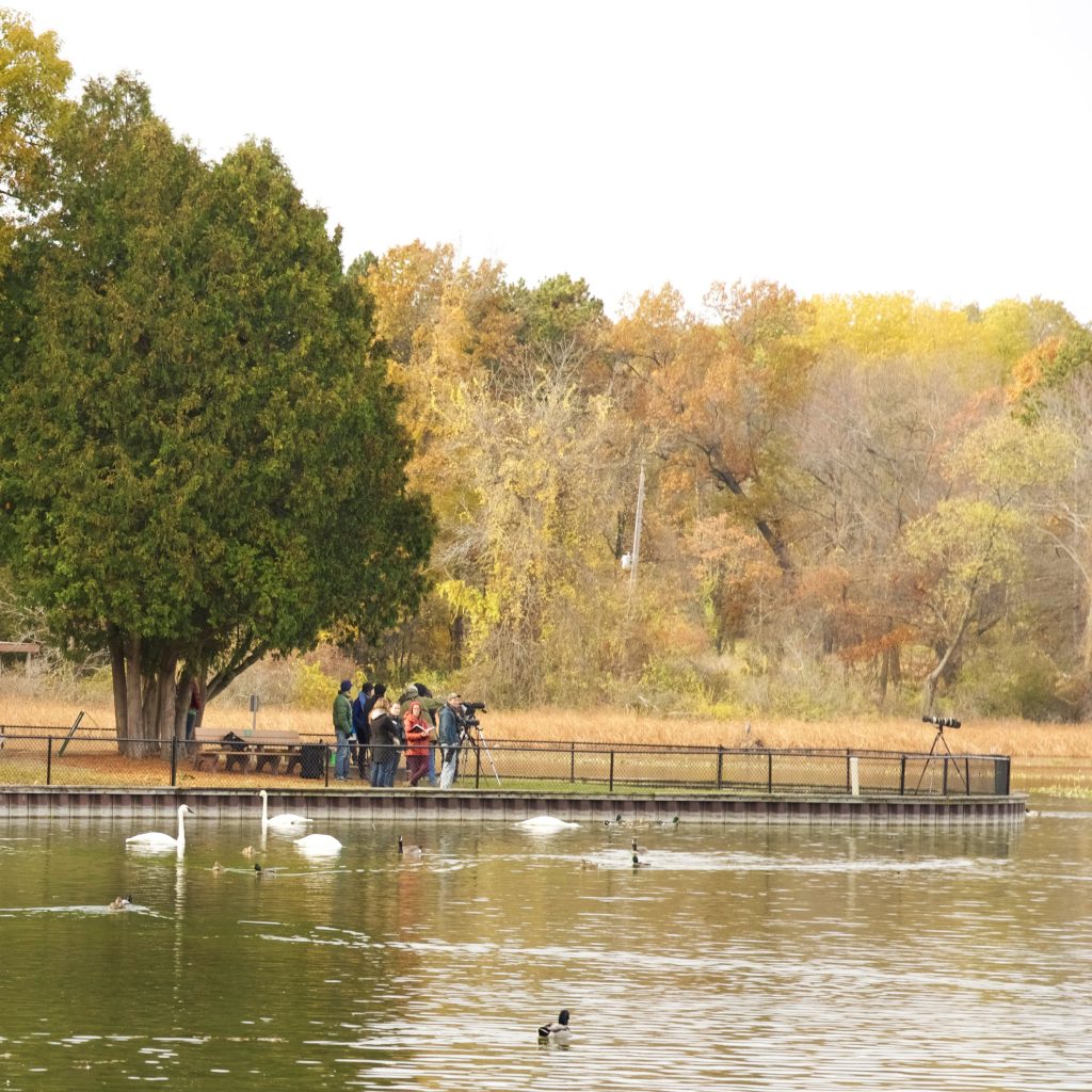 Birders gather around a camera tripod near the W.K. Kellogg Bird Sanctuary's Overlook Museum, on the shore of Wintergreen Lake.