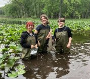 Three KBS summer students, wearing waders, stand in waist-deep water surrounded by aquatic plants.