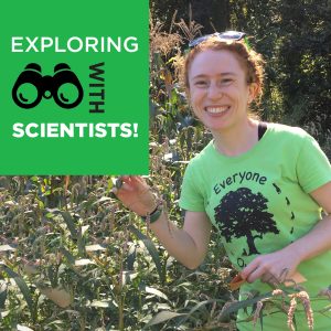 Robin Waterman stands next to a tall stand of grasses. Text overlay reads Exploring with Scientists.
