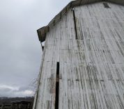 The back side of Maggie’s Barn is shown with a few long pieces of siding missing from the structure.