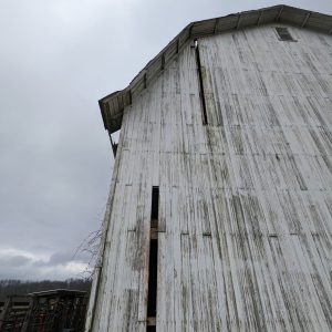 The back side of Maggie’s Barn is shown with a few long pieces of siding missing from the structure.