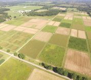 Drone image of the KBS LTER's main cropping system experiment. Credit: Ruben Ulbrich.