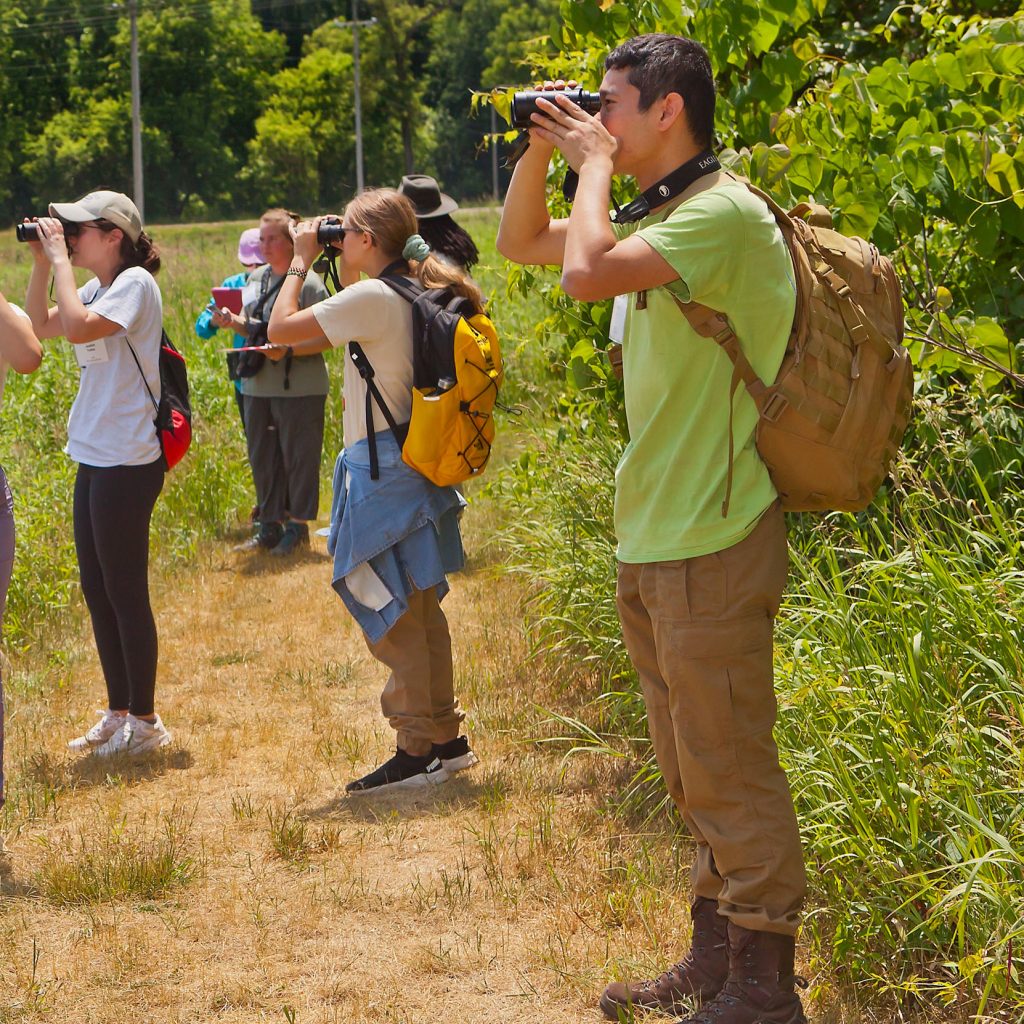 A group of people stand on a grassy trail at the W.K. Kellogg Bird Sanctuary, peering through binoculars, at a recent Sanctuary birding event.