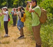 A group of people stand on a grassy trail at the W.K. Kellogg Bird Sanctuary, peering through binoculars, at a recent Sanctuary birding event.
