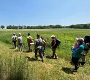 BioBlitz participants walk along a grassy trail at the W.K. Kellogg Bird Sanctuary. Photo by Sarah Roy.