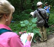 Three people stand on a trail through a wooded area, jotting notes in notebooks.