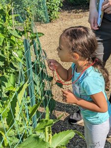 A small child peers through a magnifying glass at an insect in the W.K. Kellogg Bird Sanctuary's Pollinator Garden.